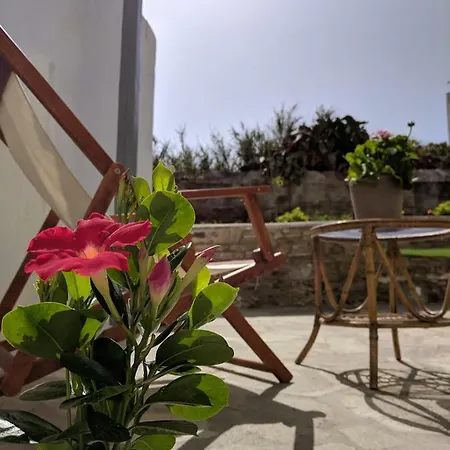 Cozy Central With Private Garden 펜션